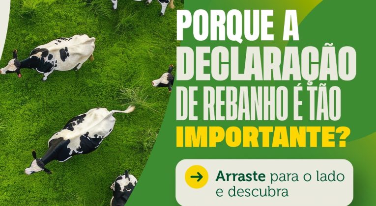 33819a2e-8603-4358-9408-66fa88c2eeac